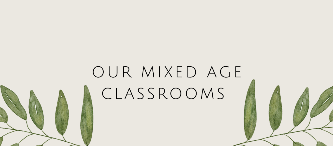 Mixed age classroom header